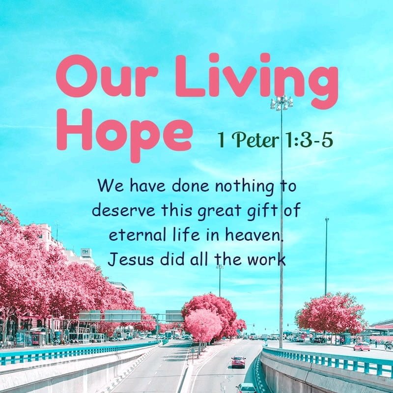 Our Loving Hope