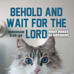 Behold and Wait for The Lord