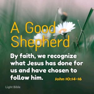 A Good Shepherd