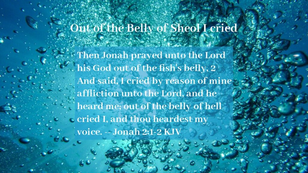 Daily Devotional - Out of the Belly of Sheol I cried