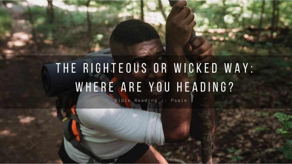 Daily Devotional - The Righteous Or Wicked Way Where Are You Heading