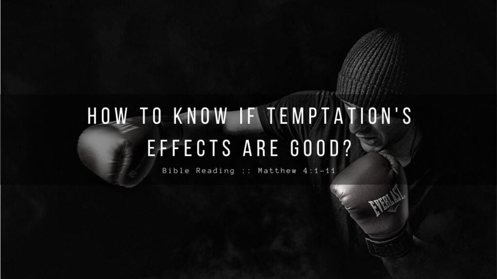 Daily Devotional - How To Know If Temptation's Effects Are Good