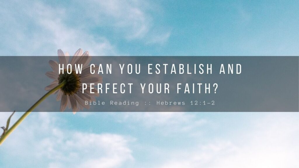 Daily Devotional - How Can You Establish And Perfect Your Faith