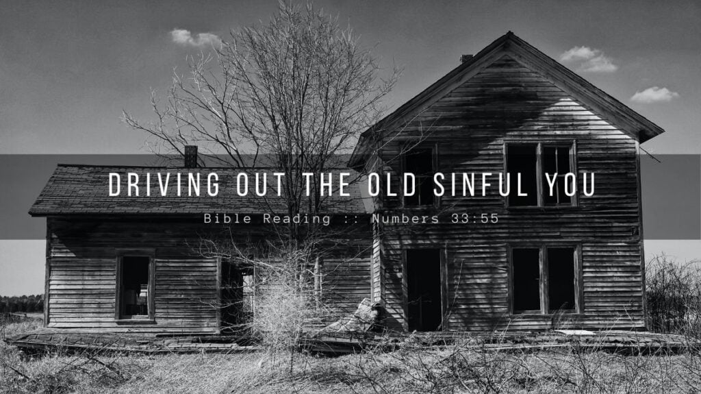 Daily Devotional - Driving Out The Old Sinful You