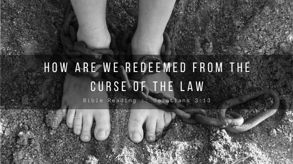Daily Devotional - How Are We Redeemed From The Curse Of The Law