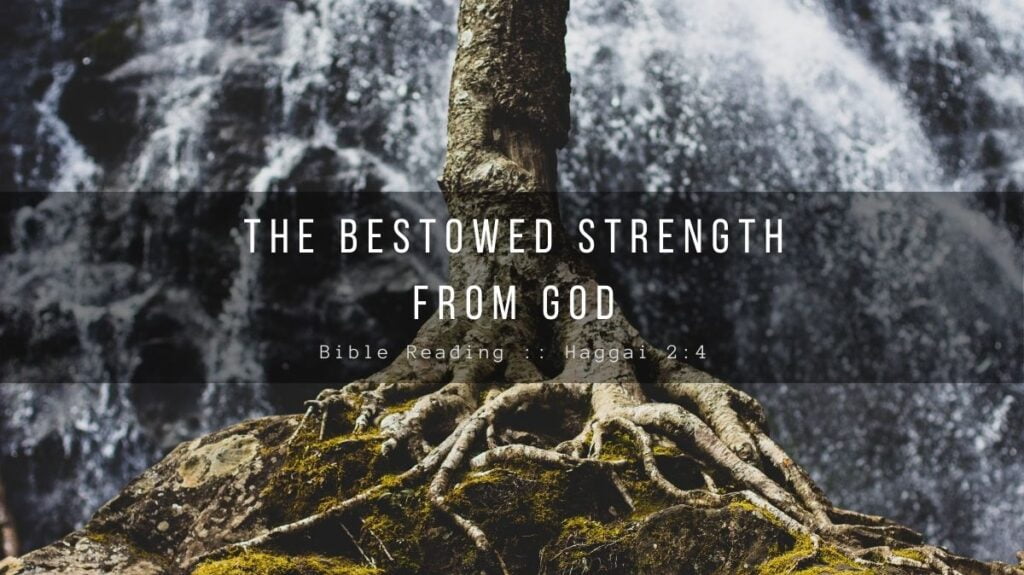 Daily Devotional - The Bestowed Strength From God