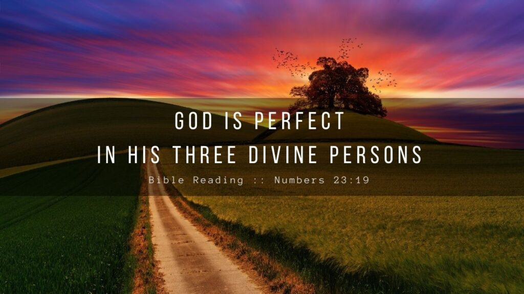 Daily Devotional - God Is Perfect In His Three Divine Persons