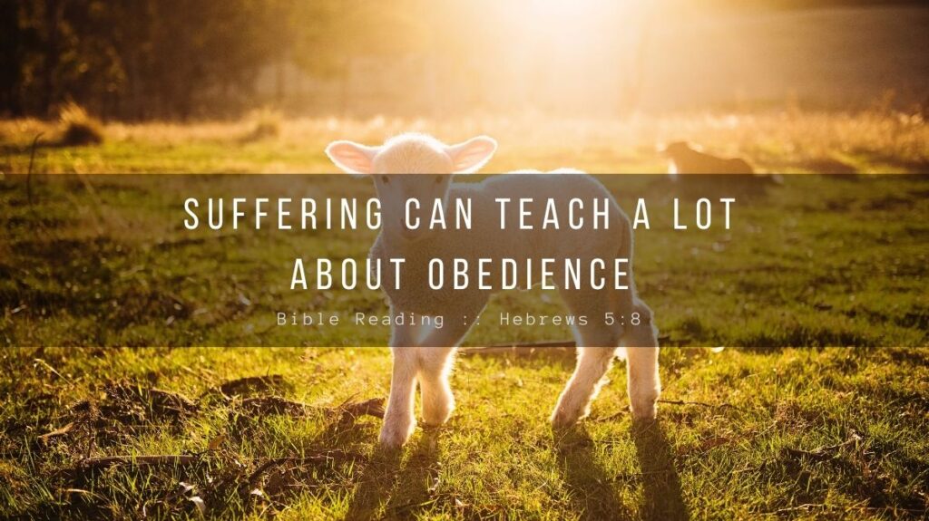 Daily Devotional - Suffering Can Teach A Lot About Obedience